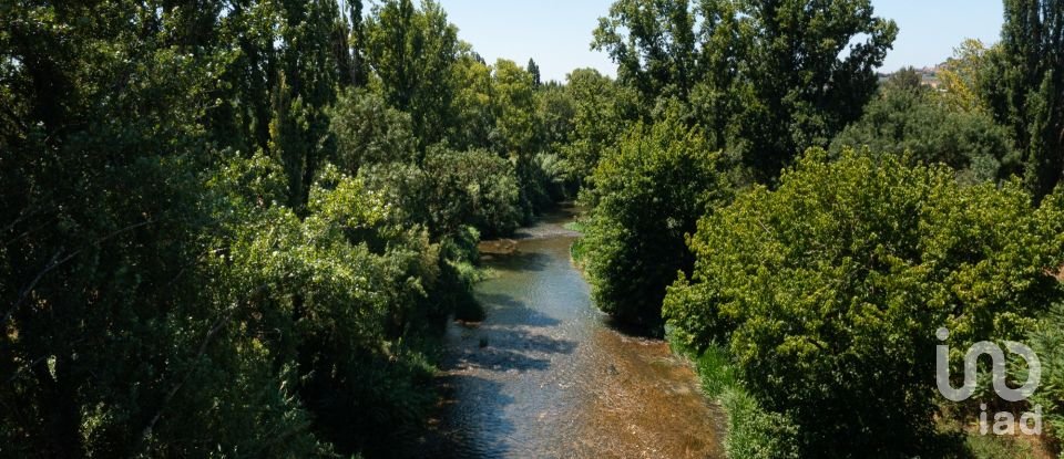 Maison T4 à Tomar (São João Baptista) e Santa Maria dos Olivais de 738 m²