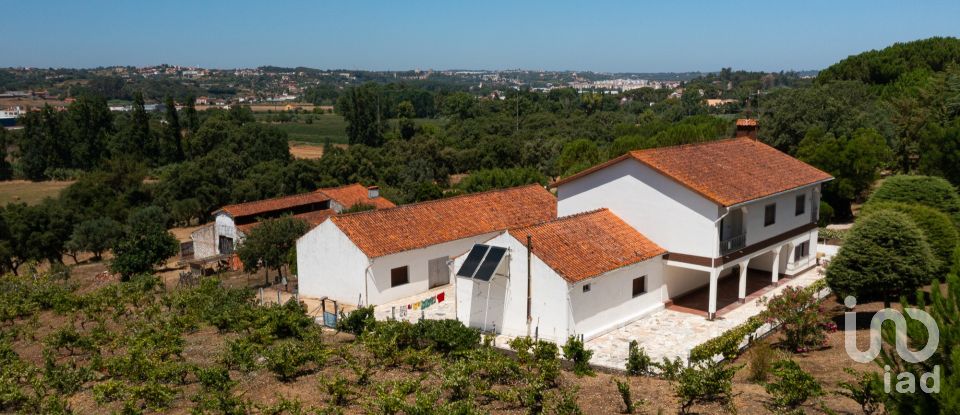 Maison T4 à Tomar (São João Baptista) e Santa Maria dos Olivais de 738 m²