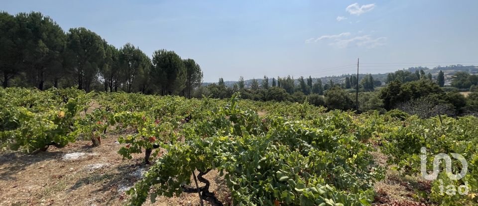 Maison T4 à Tomar (São João Baptista) e Santa Maria dos Olivais de 738 m²