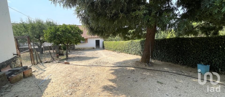 Maison T4 à Tomar (São João Baptista) e Santa Maria dos Olivais de 738 m²