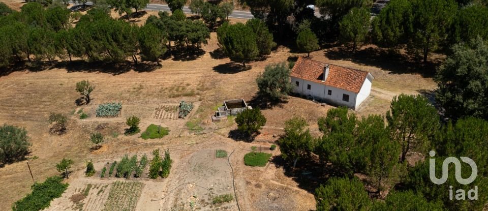Maison T4 à Tomar (São João Baptista) e Santa Maria dos Olivais de 738 m²