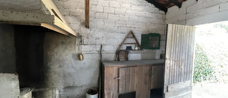 Maison T4 à Tomar (São João Baptista) e Santa Maria dos Olivais de 738 m²