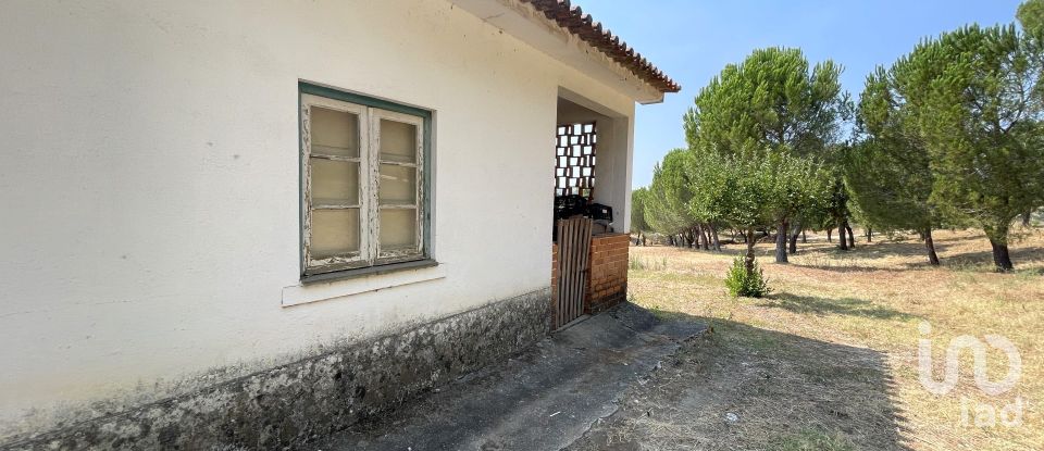 Maison T4 à Tomar (São João Baptista) e Santa Maria dos Olivais de 738 m²