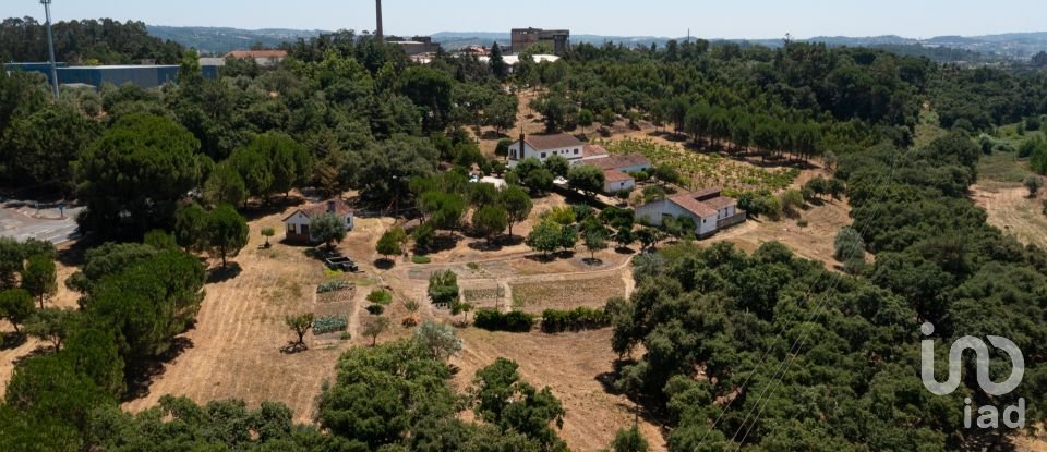 Maison T4 à Tomar (São João Baptista) e Santa Maria dos Olivais de 738 m²