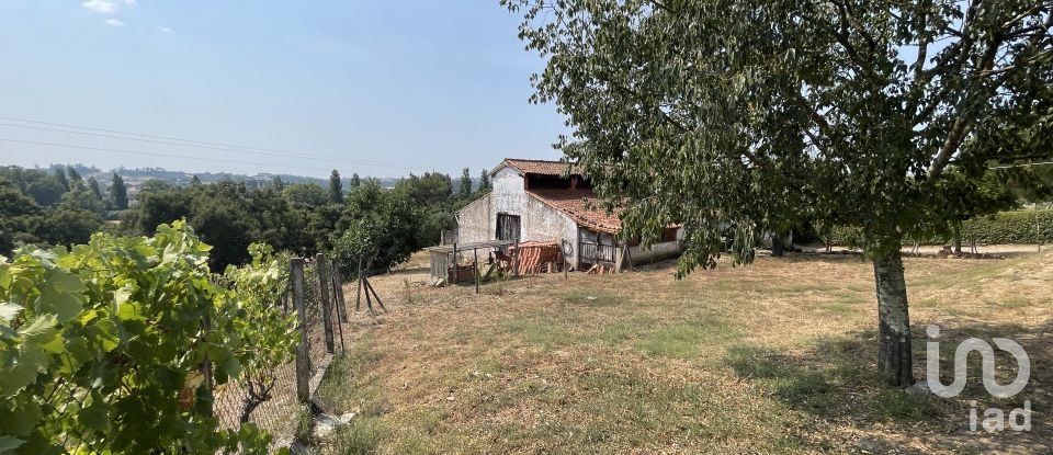 Maison T4 à Tomar (São João Baptista) e Santa Maria dos Olivais de 738 m²