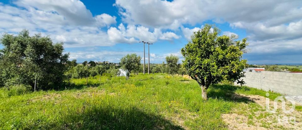 Lodge T5 in Romeira e Várzea of 213 m²