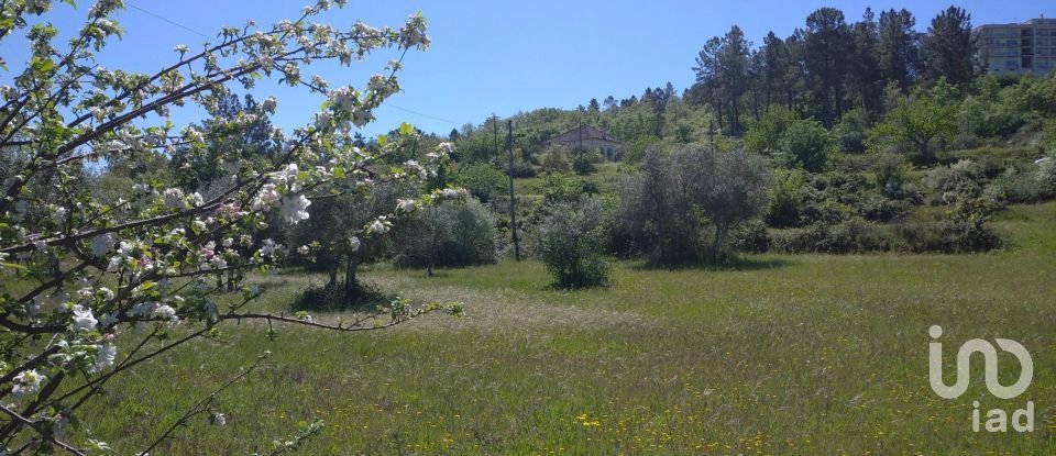 Quinta T3 em Belmonte e Colmeal da Torre de 40 m²