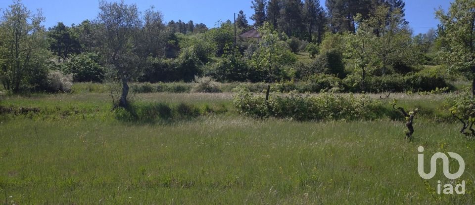 Quinta T3 em Belmonte e Colmeal da Torre de 40 m²