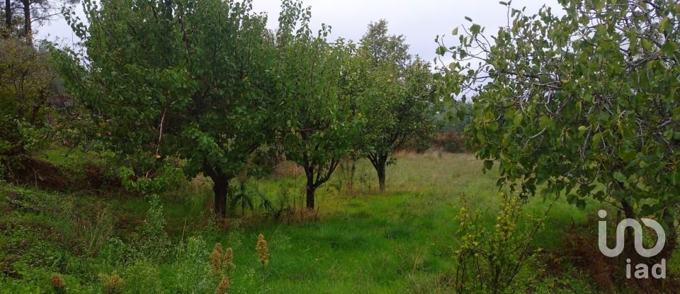 Quinta T3 em Belmonte e Colmeal da Torre de 40 m²