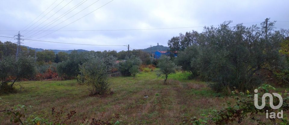 Quinta T3 em Belmonte e Colmeal da Torre de 40 m²