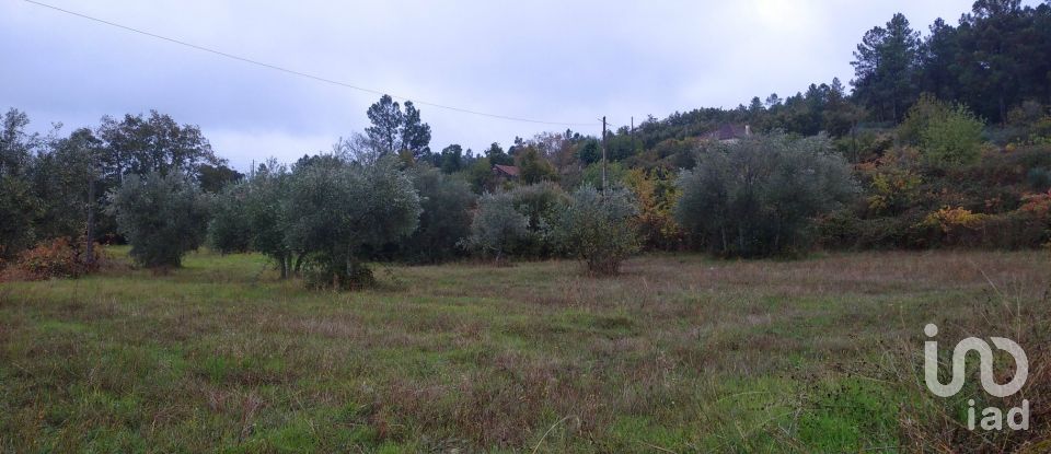 Quinta T3 em Belmonte e Colmeal da Torre de 40 m²