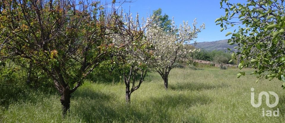 Quinta T3 em Belmonte e Colmeal da Torre de 40 m²