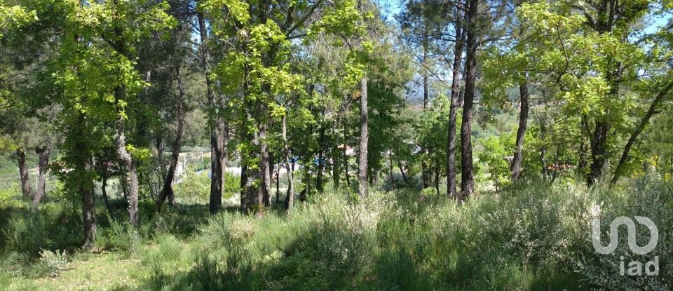 Quinta T3 em Belmonte e Colmeal da Torre de 40 m²