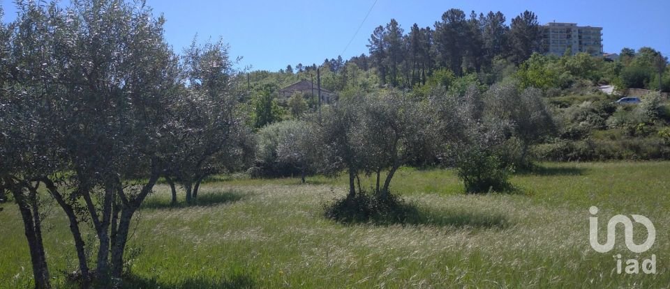 Quinta T3 em Belmonte e Colmeal da Torre de 40 m²