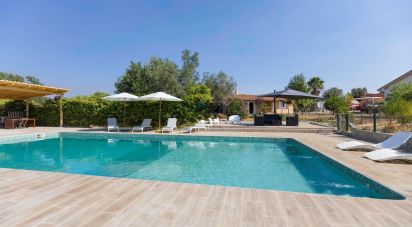 Ferme T3 à Silves de 299 m²