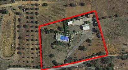 Farm T3 in Silves of 299 m²