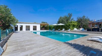 Farm T3 in Silves of 299 m²