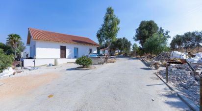 Ferme T3 à Silves de 299 m²