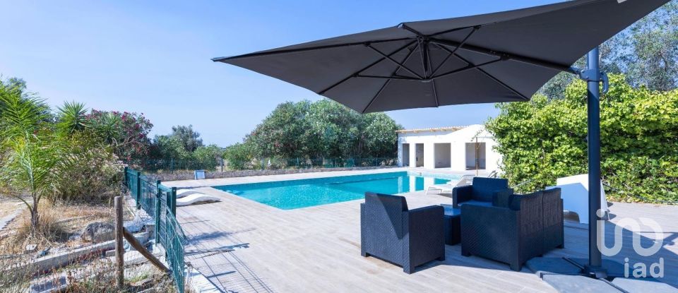 Quinta T3 em Silves de 299 m²