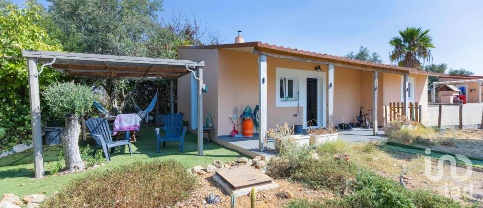 Quinta T3 em Silves de 299 m²