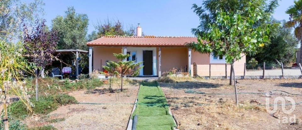 Quinta T3 em Silves de 299 m²