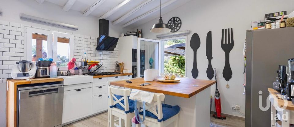 Quinta T3 em Silves de 299 m²