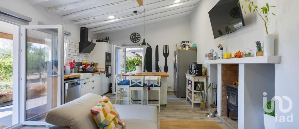 Quinta T3 em Silves de 299 m²