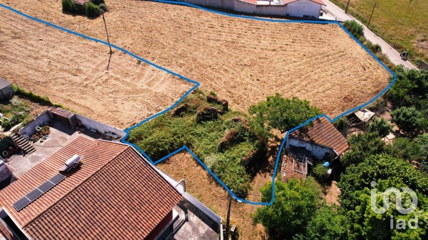Terrain à bâtir à Alcobaça e Vestiaria de 3 260 m²