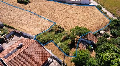 Building plot in Alcobaça e Vestiaria of 3,260 m²