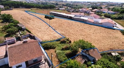 Terrain à bâtir à Alcobaça e Vestiaria de 3 260 m²
