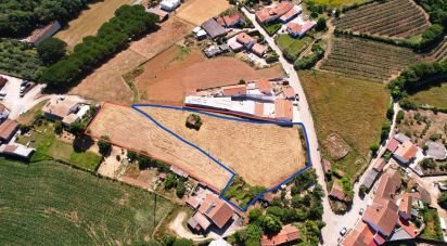 Terrain à bâtir à Alcobaça e Vestiaria de 3 260 m²