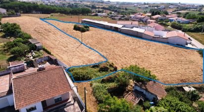 Terrain à bâtir à Alcobaça e Vestiaria de 3 260 m²