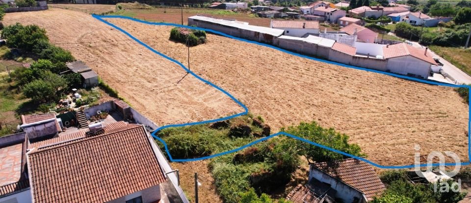 Terrain à bâtir à Alcobaça e Vestiaria de 3 260 m²