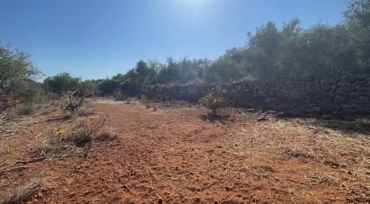 Terrain agricole à Silves de 8 360 m²
