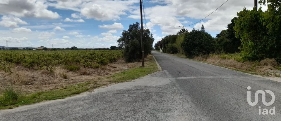 Terreno em Palmela de 38 000 m²
