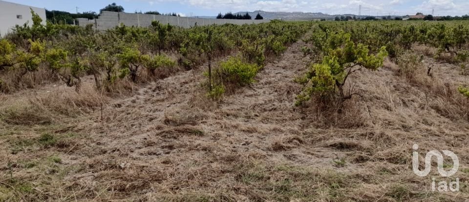 Terreno em Palmela de 38 000 m²