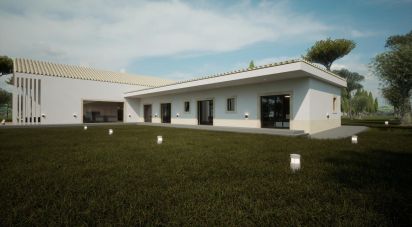 Terrain à Palmela de 38 000 m²