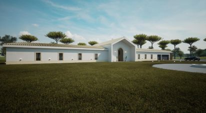 Terrain à Palmela de 38 000 m²