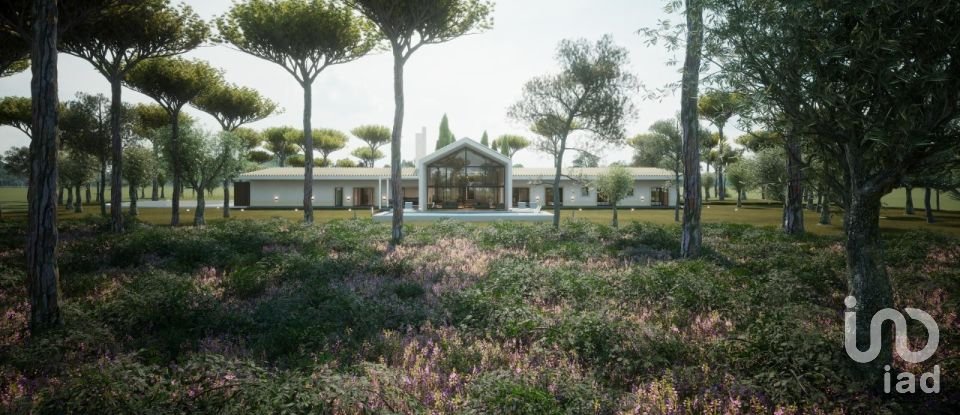 Terreno em Palmela de 38 000 m²