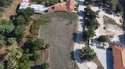 Terrain à Alcobertas de 4 228 m²