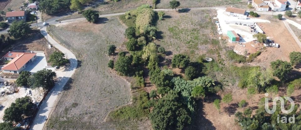 Terreno em Alcobertas de 4 228 m²