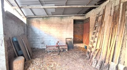 Pavillon T0 à Orgens de 110 m²