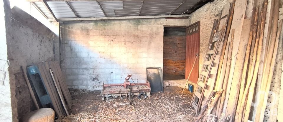 Armazém T0 em Orgens de 110 m²