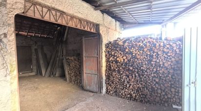 Pavillon T0 à Orgens de 110 m²