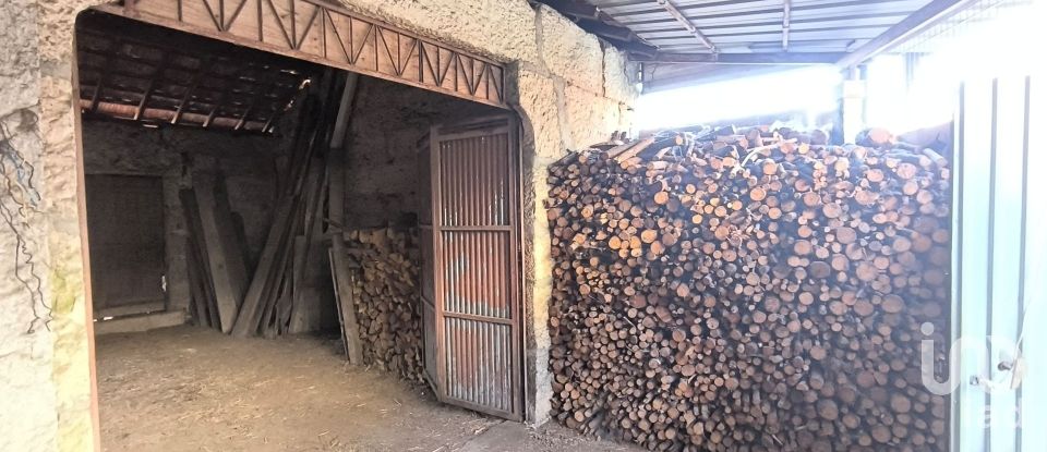 Armazém T0 em Orgens de 110 m²