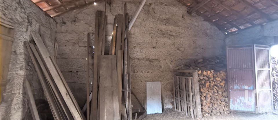 Armazém T0 em Orgens de 110 m²