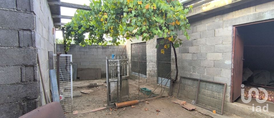 Armazém T0 em Orgens de 110 m²