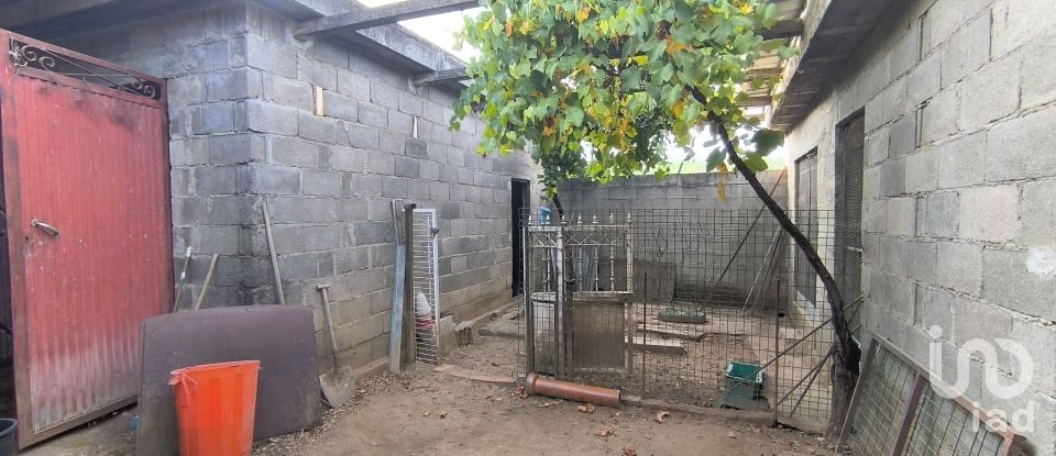 Armazém T0 em Orgens de 110 m²