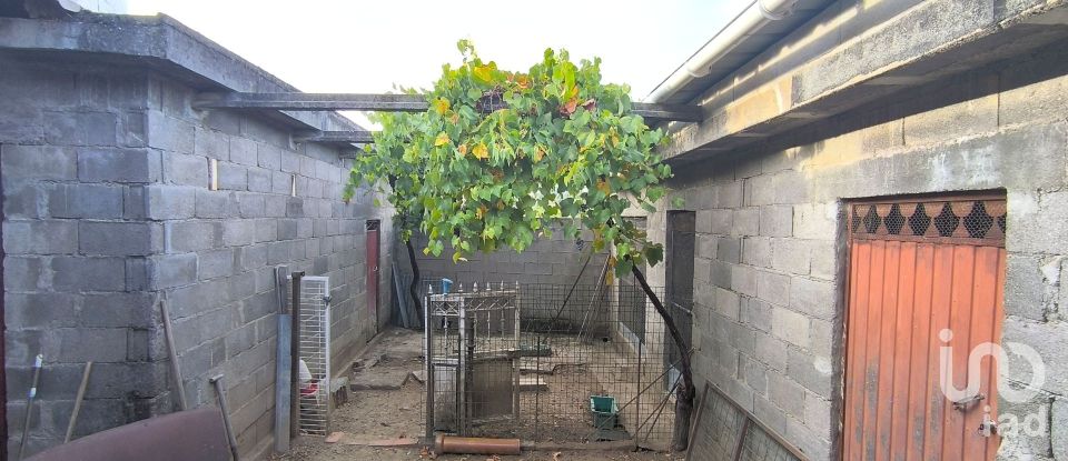 Armazém T0 em Orgens de 110 m²