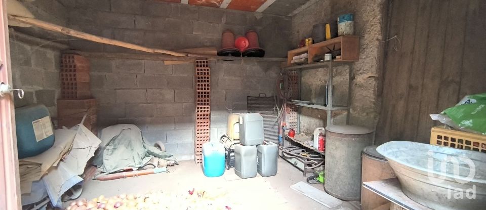 Armazém T0 em Orgens de 110 m²